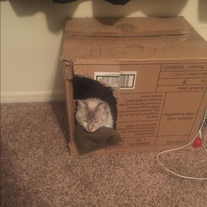 Meet your Posher, Bryan